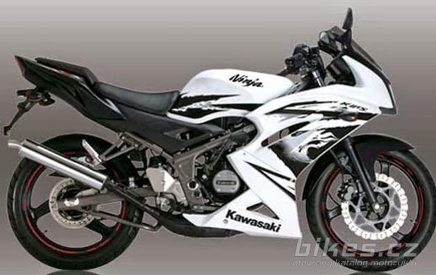 Kawasaki Ninja RR Special Edition